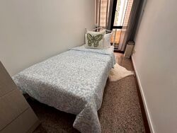 Dover Parkview (D5), Condominium #589337221